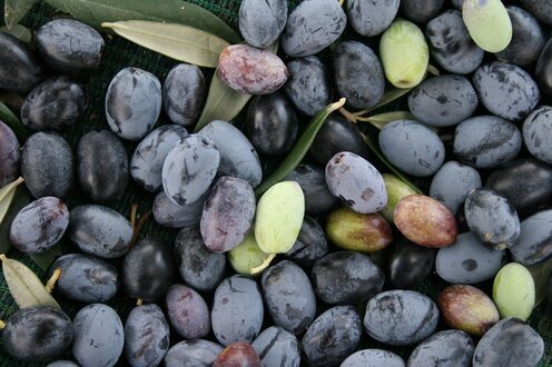 Close-up of olive oil being poured over fresh green salad