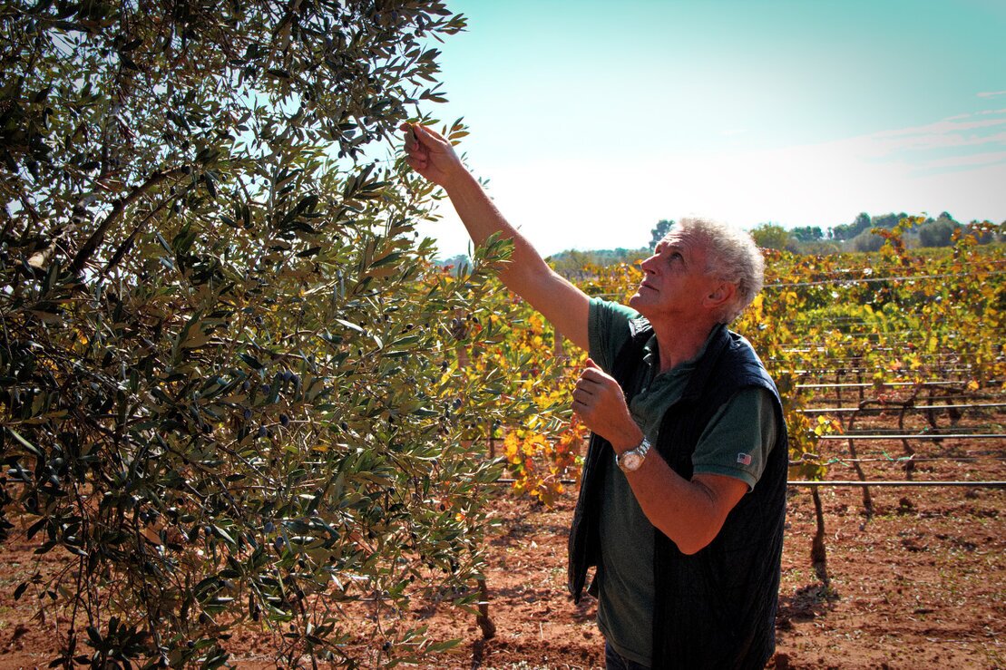 Portrait of Francesco, founder of Olivottoil, in an olive grove